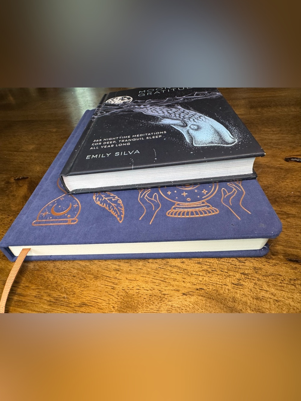 Book Bundle: Moonlight Gratitude by Emily Silva & Blank Journal - 2 Item Lot - Picture 13 of 16